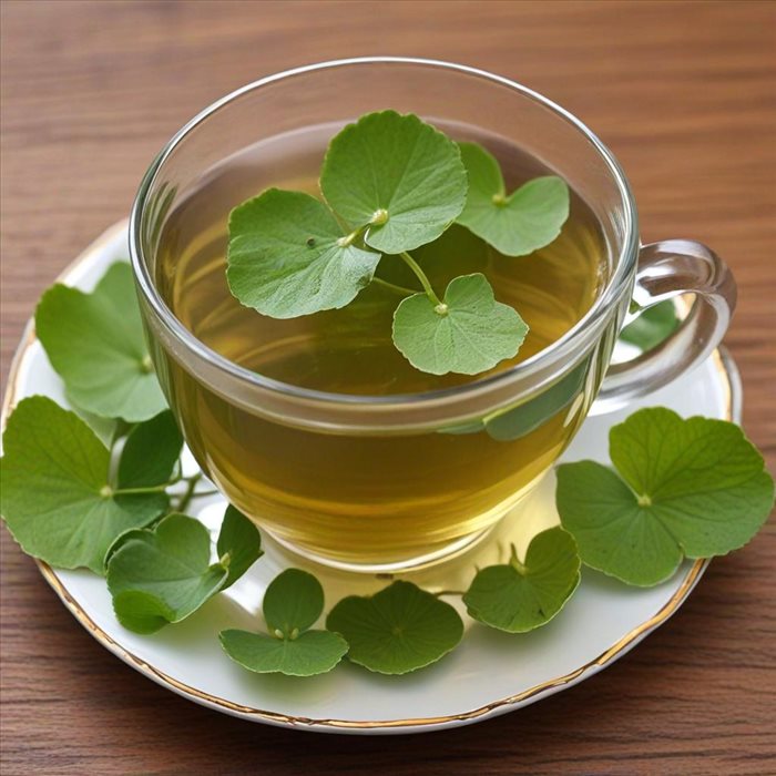 Centella Asiatica : l'ingrédient star du skincare coréen